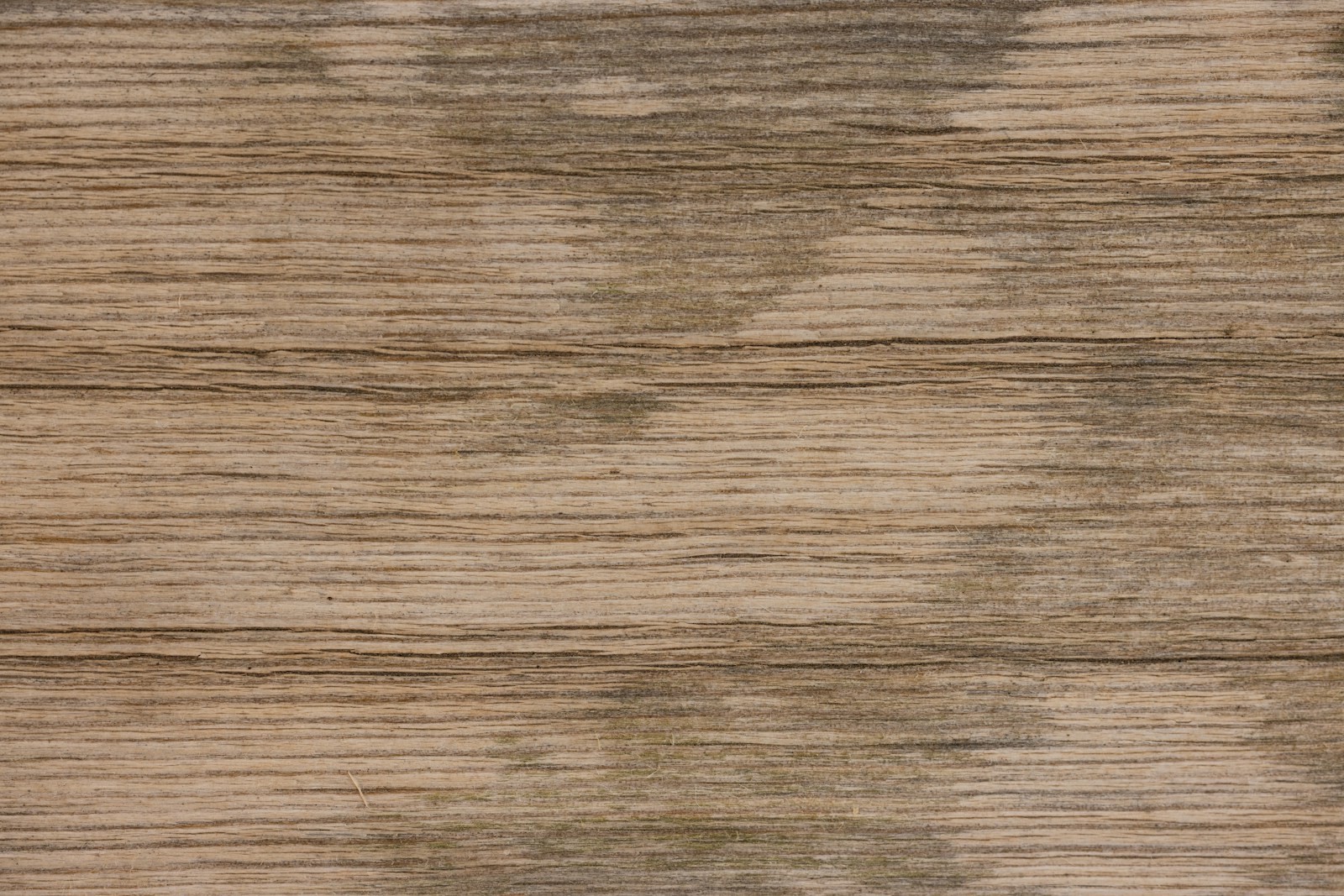 A close view of a worn, weathered wood surface